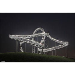 Tiger & Turtle